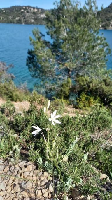 House Of Magic Lake Greoux-les-Bains Bagian luar foto