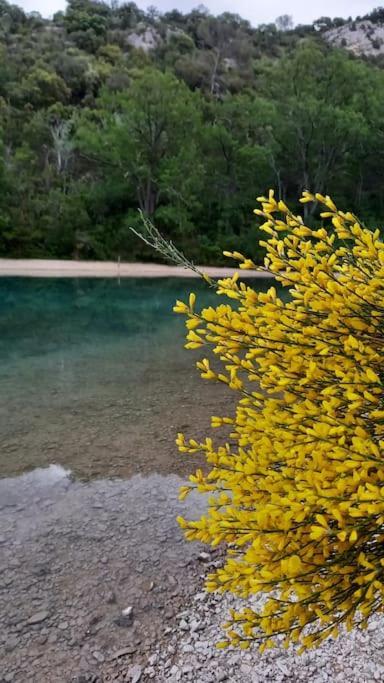 House Of Magic Lake Greoux-les-Bains Bagian luar foto